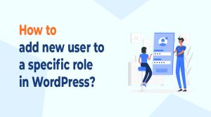 How to create new user in WordPress?